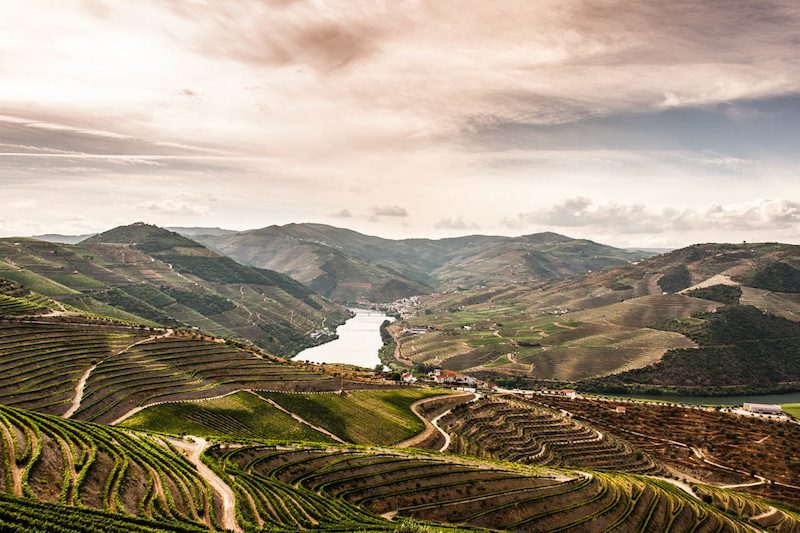 Douro Valley