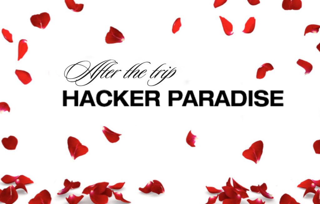 Hacker Paradise The Bachelor