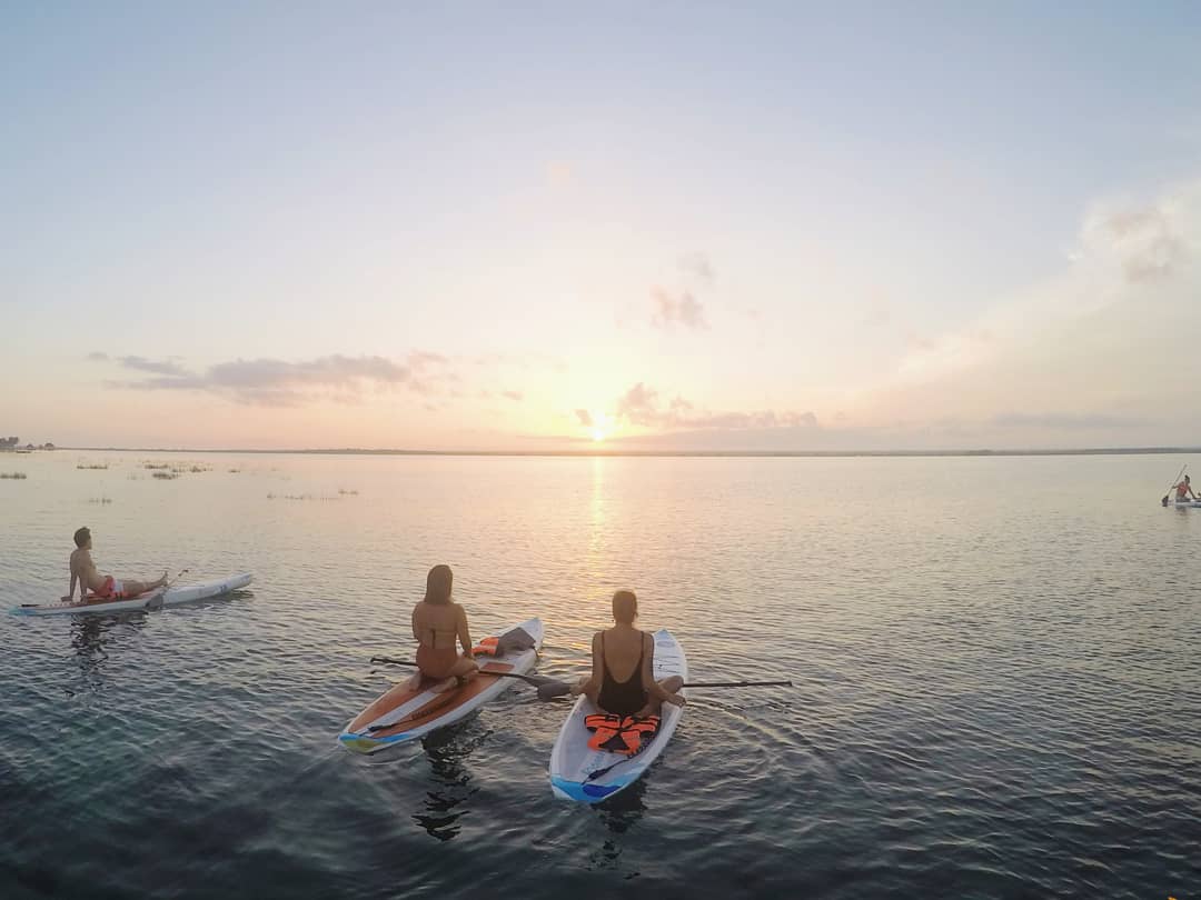 remote workers at sunset