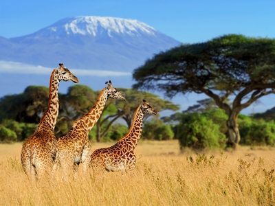 Kenya 1
