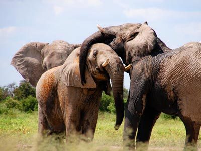 digital-nomad-motherland-africa-itinerary digital-nomad-motherland-africa-itinerary