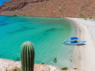 hp-baja-california-sailing-highlights-espiritu-island hp-baja-california-sailing-highlights-espiritu-island