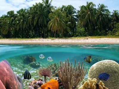 hp-bocas-del-toro-panama-highlights-coral-reefs hp-bocas-del-toro-panama-highlights-coral-reefs