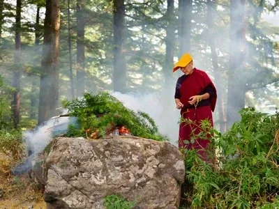 hp-dharamkot-india-highlights-tibetan-culture hp-dharamkot-india-highlights-tibetan-culture