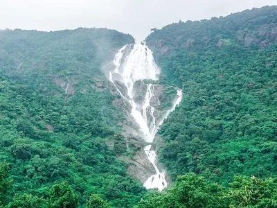 hp-goa-india-highlight-dudhsagar-falls hp-goa-india-highlight-dudhsagar-falls
