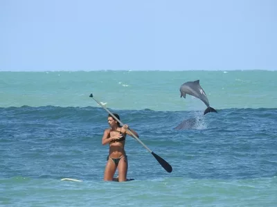 hp-pipa-brazil-highlights-surfing-padle-board hp-pipa-brazil-highlights-surfing-padle-board