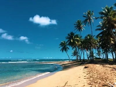 hp-santo-domingo-dominican-republic-highlights-caribbean-splendor hp-santo-domingo-dominican-republic-highlights-caribbean-splendor