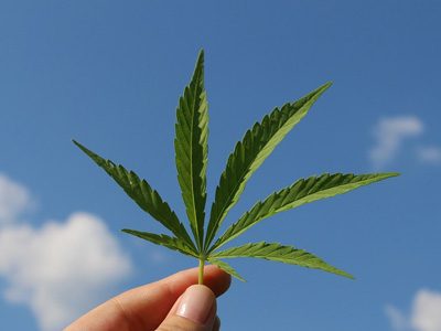 montevideo-digital-nomad-cannabis montevideo-digital-nomad-cannabis