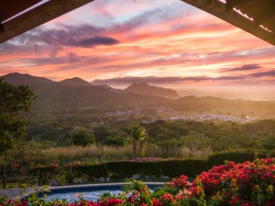 pexels-darren-lawrence-848896-3822541